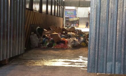 Reportaje: Acopio de Basura en Terminal de Buses no soluciona problema de desechos.