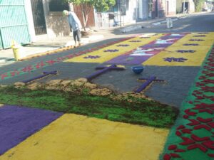 Alfombra1