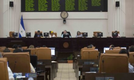 Sindicatos independientes exigen bajar salarios de diputados a través de una ley.