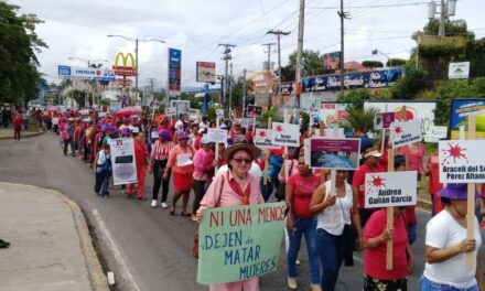 Gobierno demuestra no tiene políticas de protección a la vida de las mujeres.