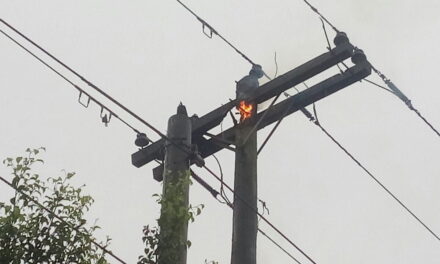 Incendios en postes eléctricos en León
