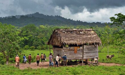 Pueblos indígenas lanzan observatorio de DDHH, registran 1,291 casos de incidencia en la RAAN