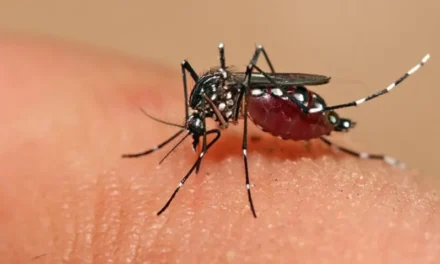Inacción del Minsa ante el aumento de casos de dengue en Nicaragua
