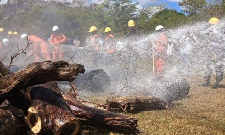 Incendios forestales golpean  a la región Centroamericana 