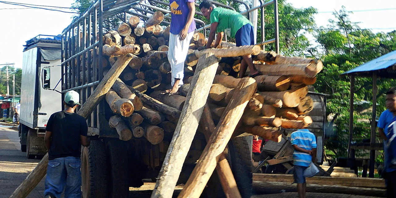 Nicaragua va camino hacia la deforestación total en 20 años