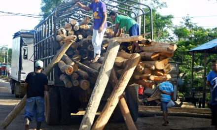 Nicaragua va camino hacia la deforestación total en 20 años