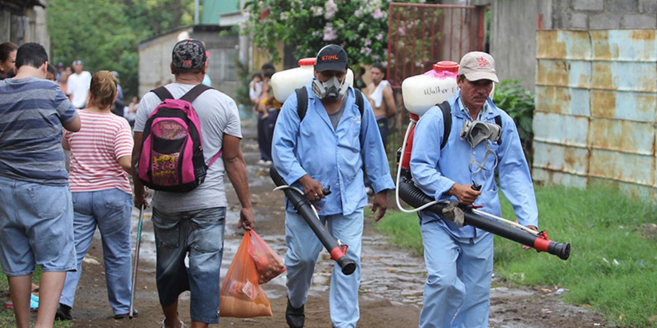 Incremento de dengue en Nicaragua evidencia fracaso del Minsa en el control, aseguran epidemiólogos