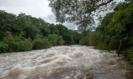 Lluvias dejan daños materiales y pérdidas humanas